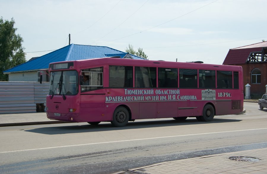 Автобус междугородный ГолАЗ-ЛиАЗ-5256R на улице С.Ремезова / The long-distance bus GolAZ-LiAZ-5256R in the S.Remezovs street (14/06/2008)