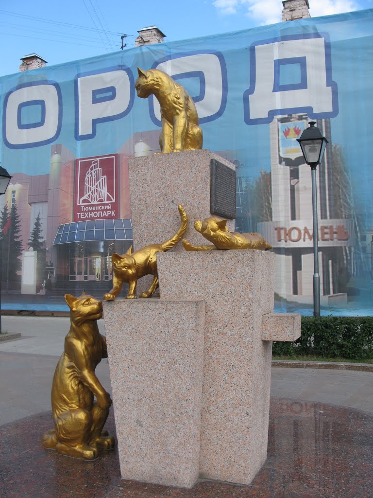►Кошачий игры.   *