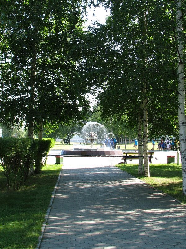 Аллея в Спортивном сквере