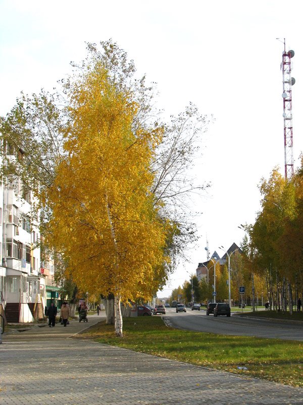 Улица Ленина. Осень.
