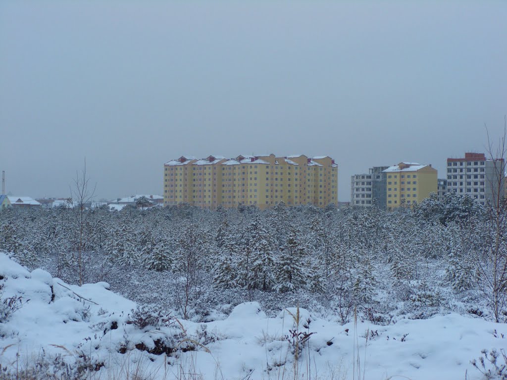 Земля Саникова