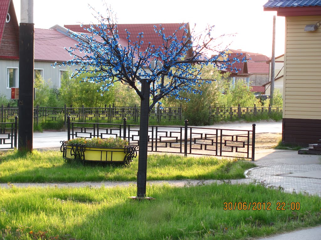 В лучах заката
