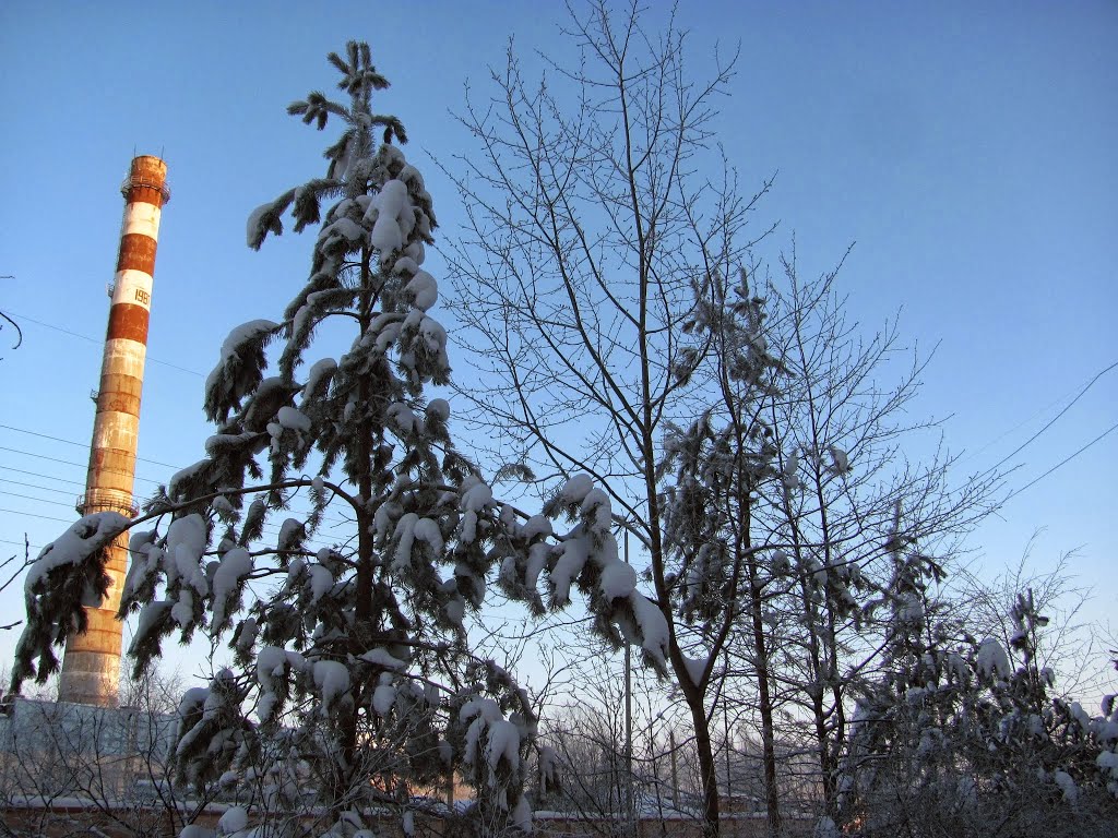 Мегион, 2014