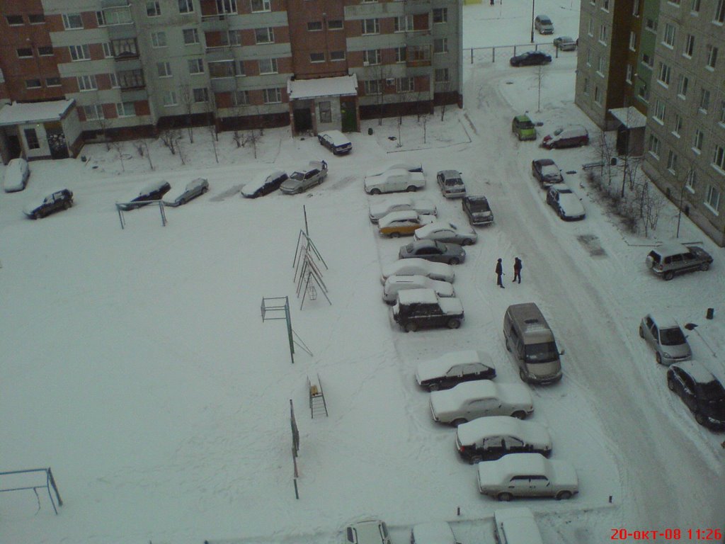 Снег...2008