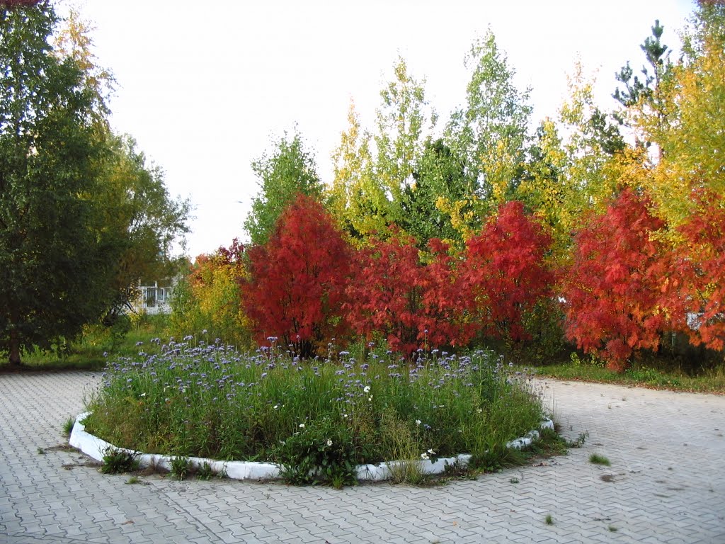 осень на заречной улице