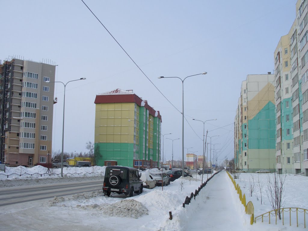 Мегион. Зима 2011
