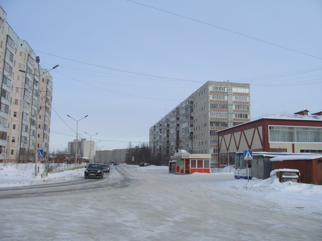 Мегион. Зима 2011
