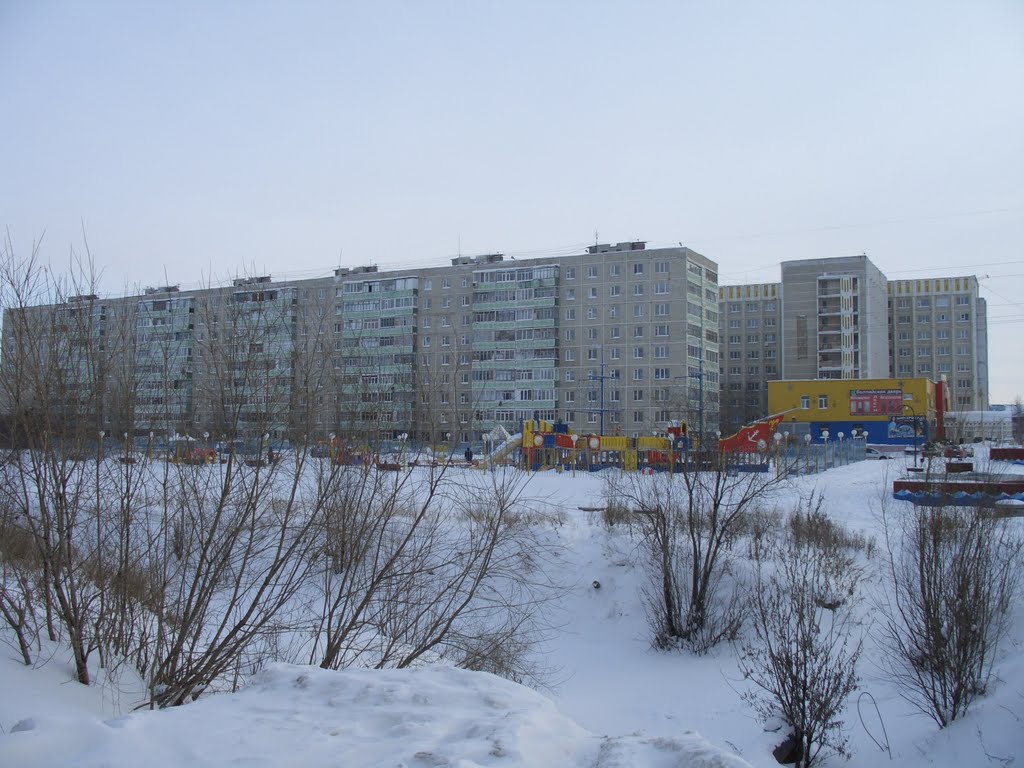 Мегион. Зима 2011
