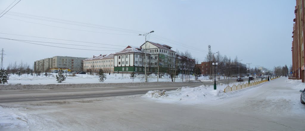 Мегион. Зима 2011