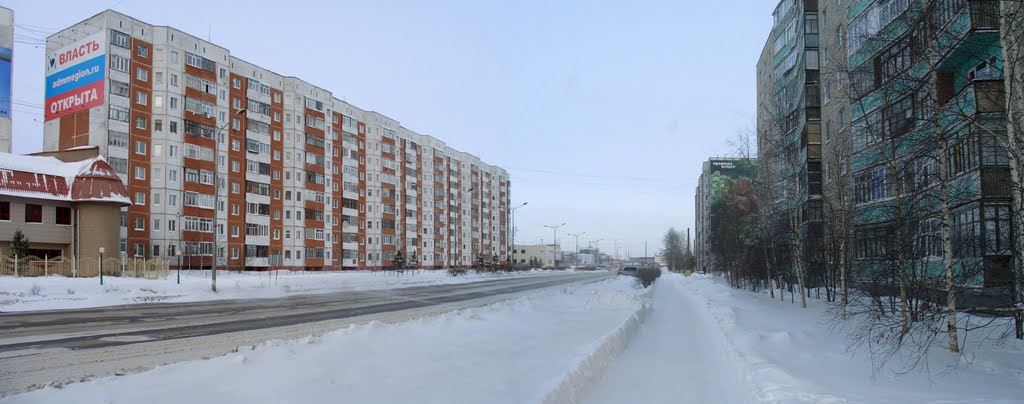 Мегион. Зима 2011