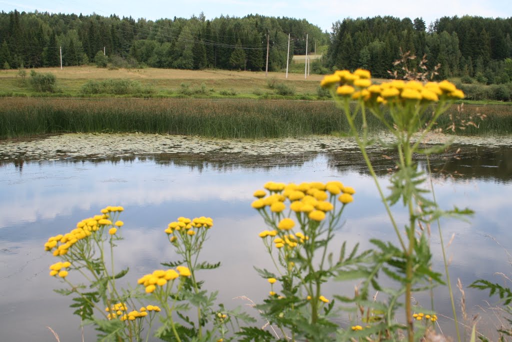 река Чепца