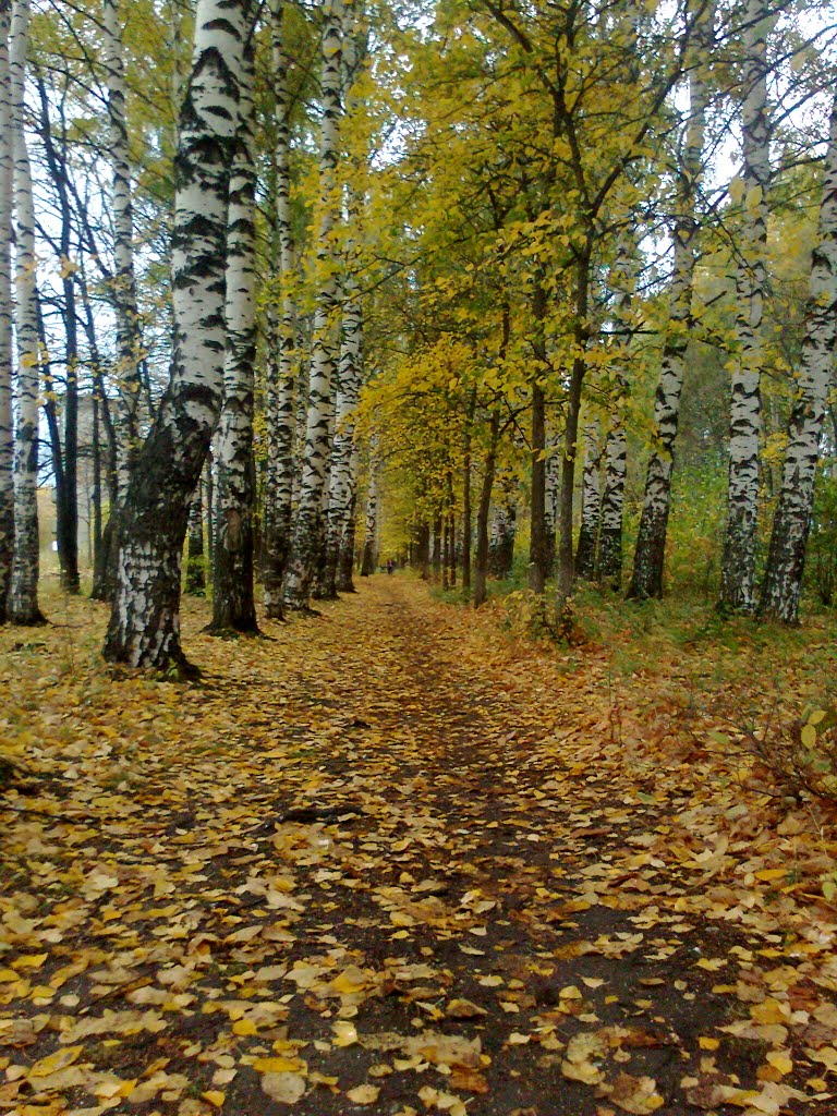 Балезино
