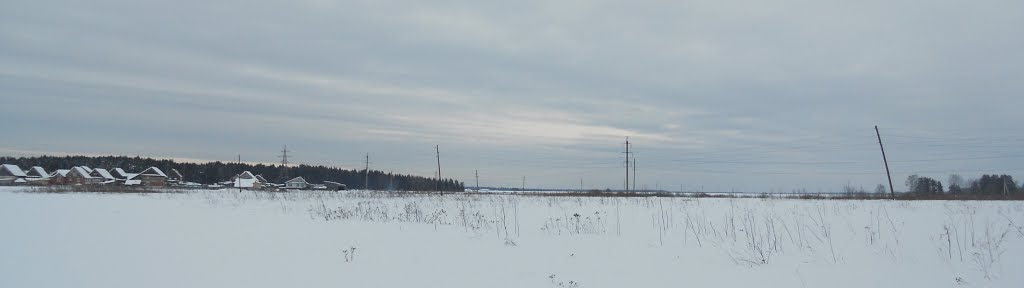 Поле