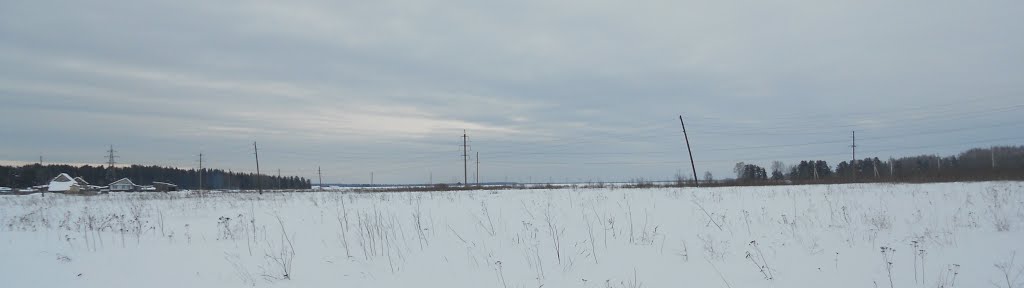 Поле