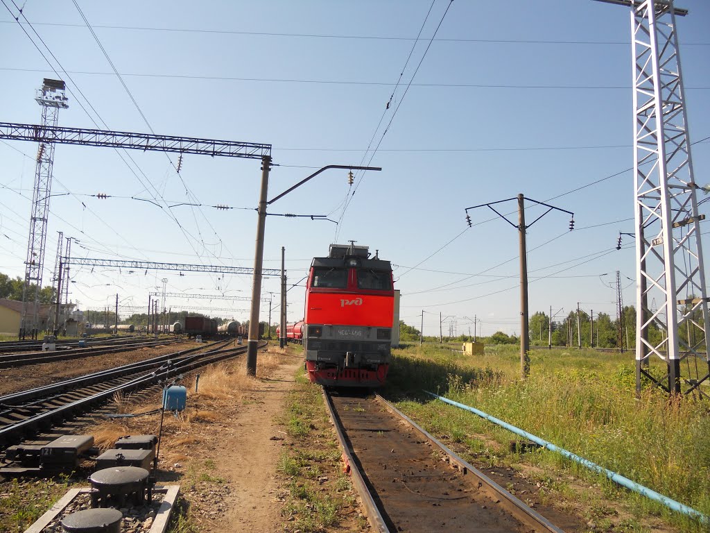 Кировский гость