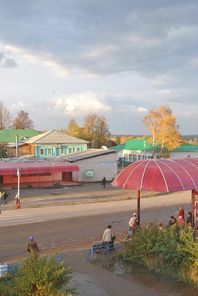 Вавож, осень 2010 -2