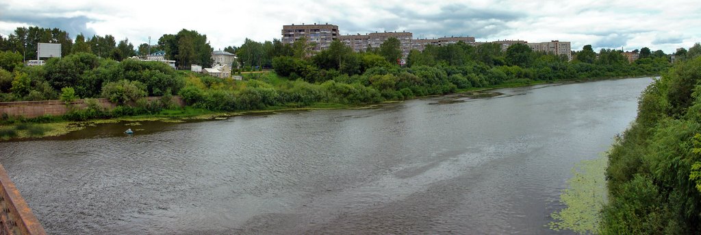 Вид с моста на улицу Чепецкую