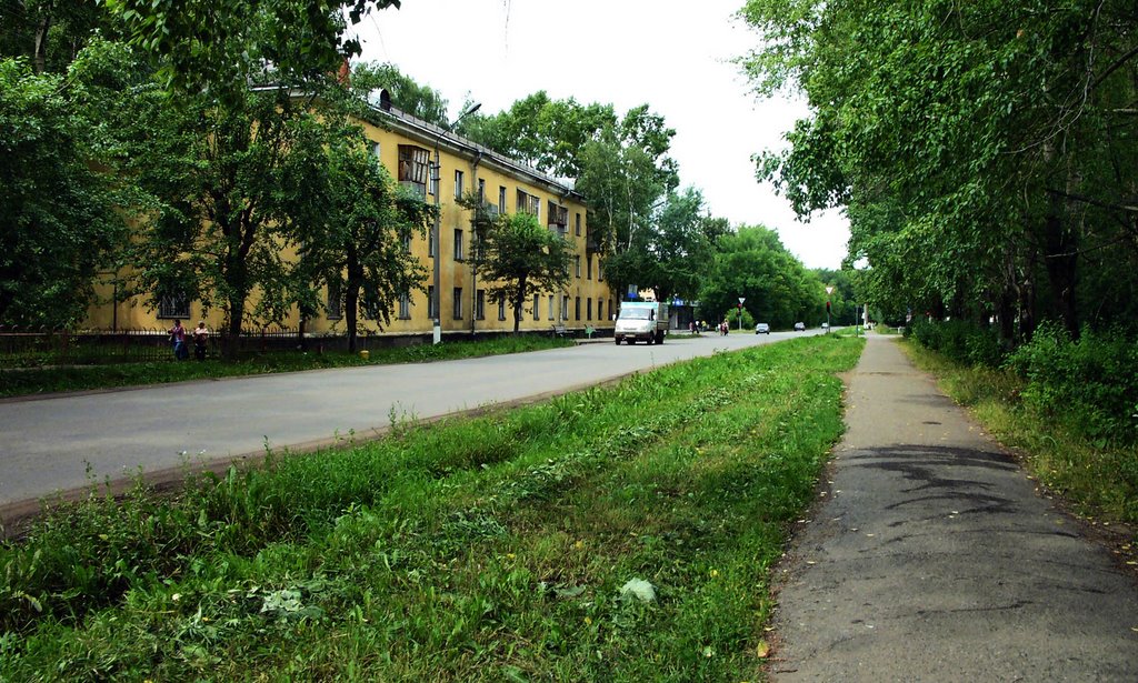 ул. Ленина (бывш. Инвалидная)