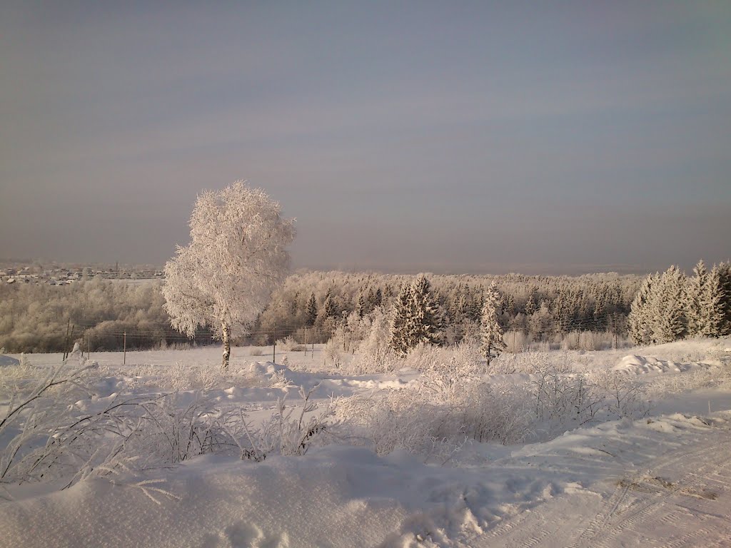 Возле гаражей