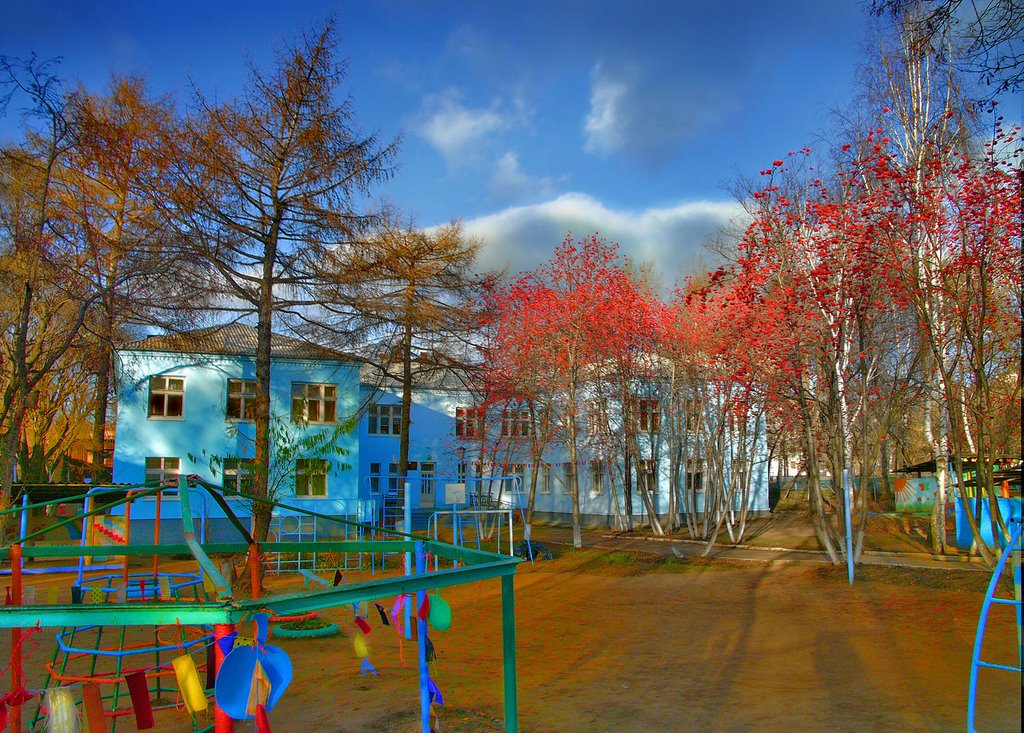Рябина. г. Ижевск, переулок Широкий