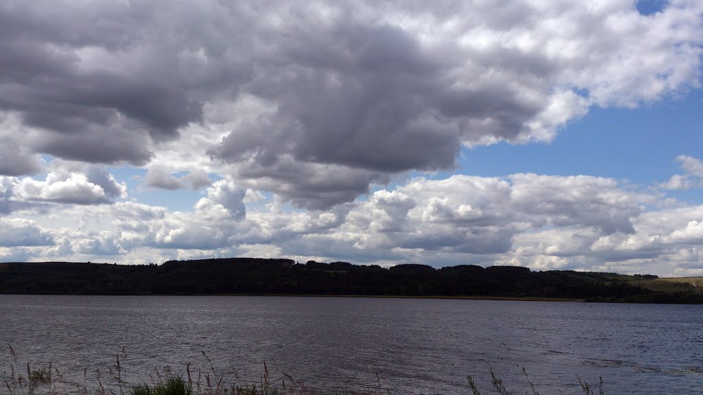 Кама