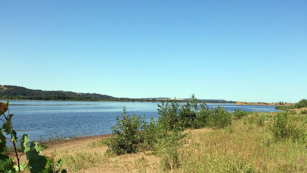 Кама