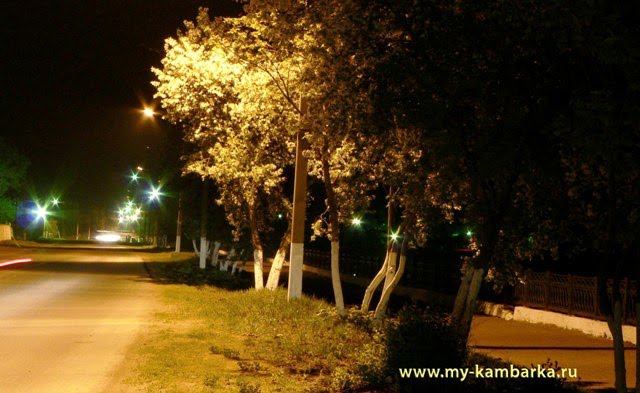 Камбарка