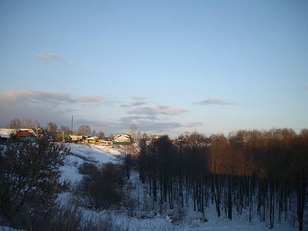 лес