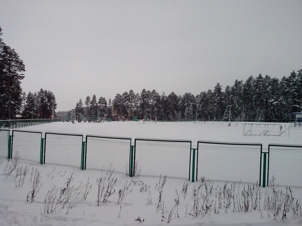 Камбарка. Стадион