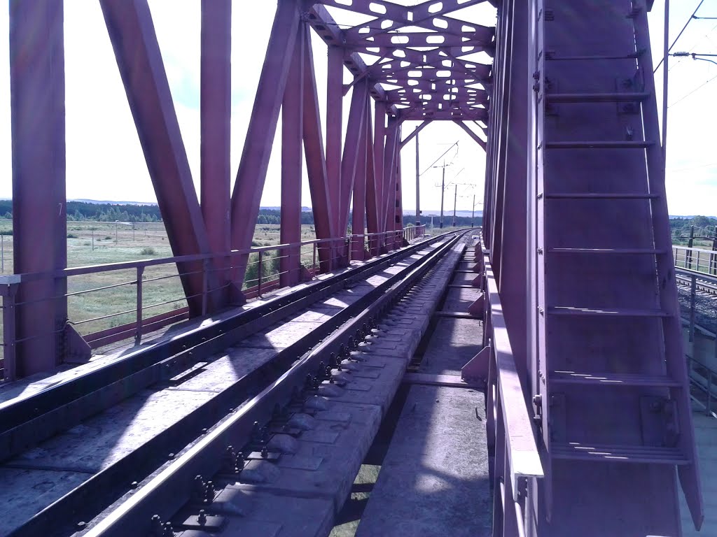 Камбарский ЖД мост