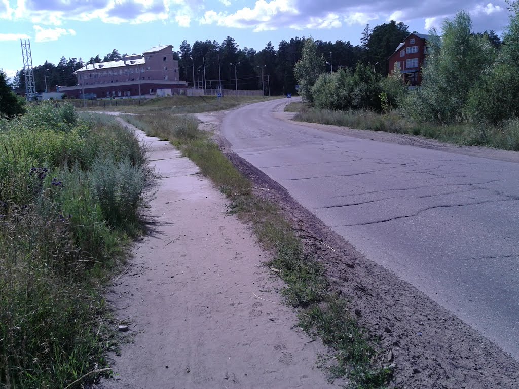 Камбарская дорога ул. Нагорная