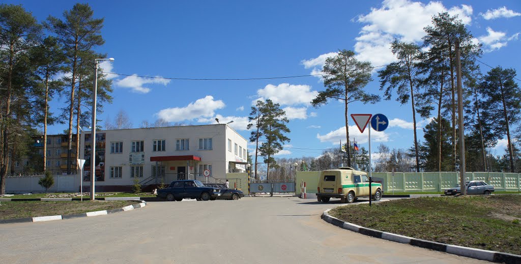 Кизнер