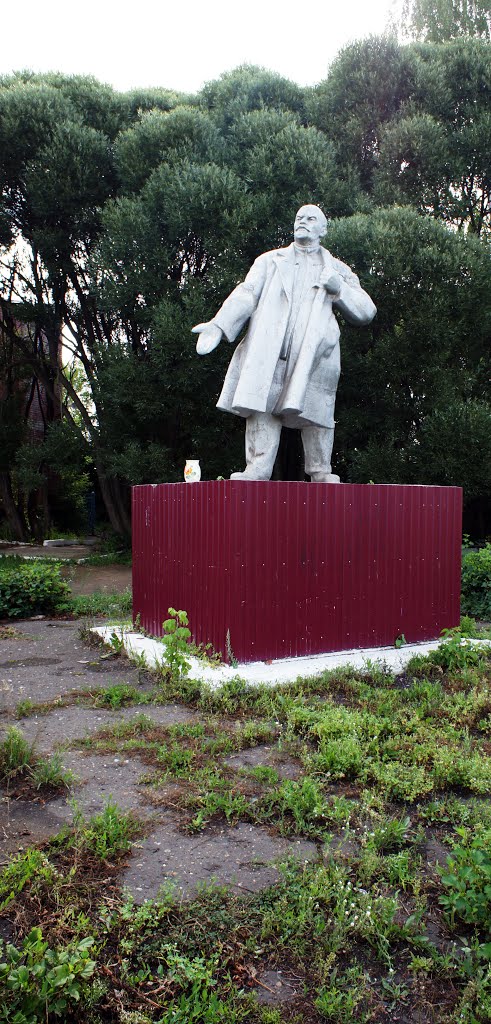 Подайте на мировую революцию...