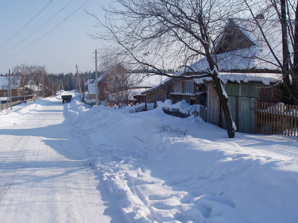 село Красногорское, улица Луначарского зимой