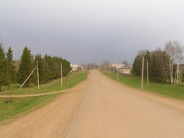 Удмуртия, село Красногорское, улица Ленина