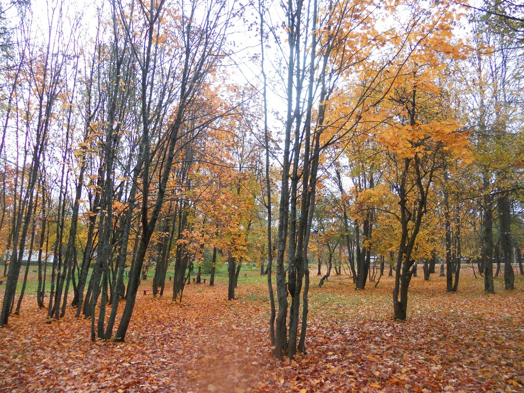 Осень