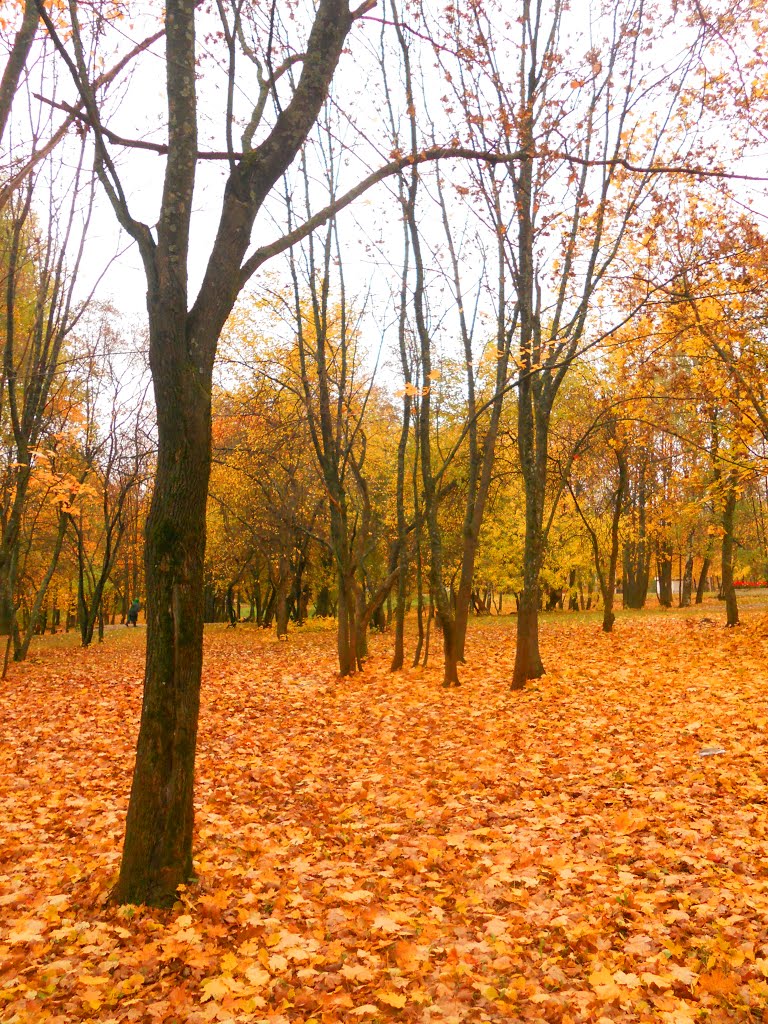 Осенняя природа