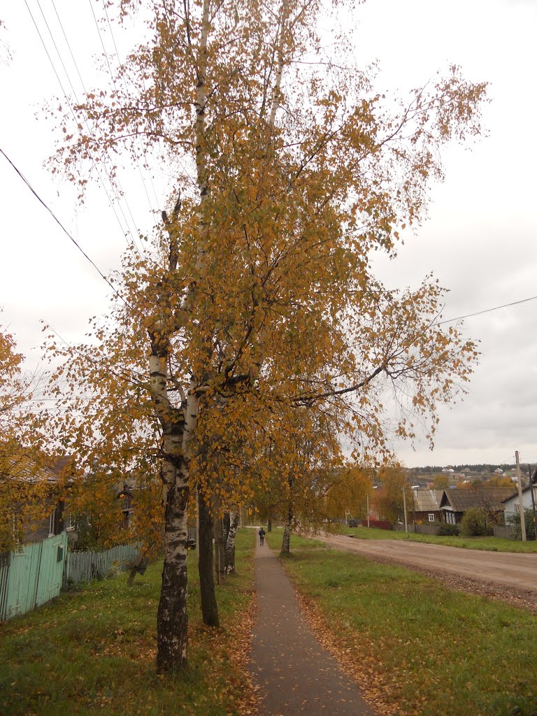 Береза