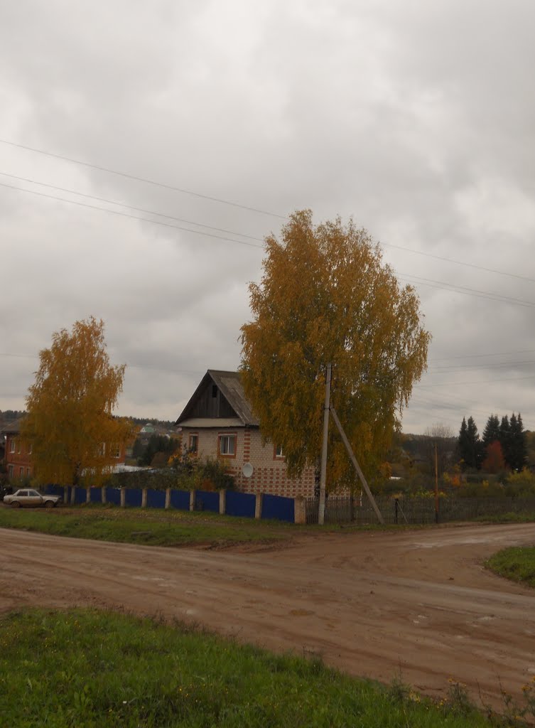 Береза