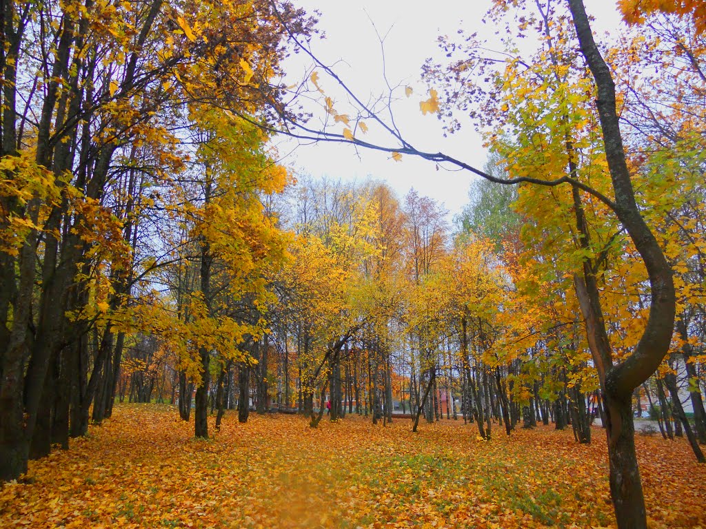 Осенний парк