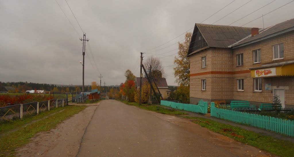Асфальтированная улица