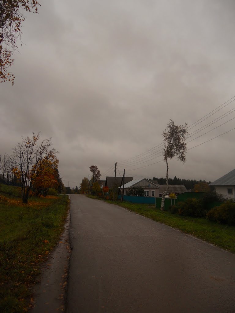 Дорога