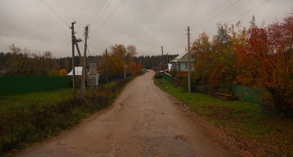 Дорога