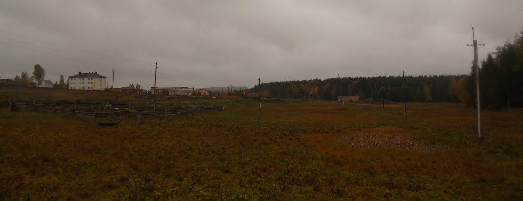 Поле