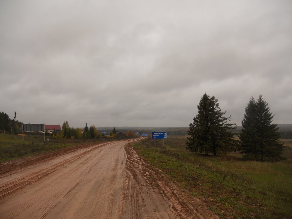 В Кировскую область по грунтовке...