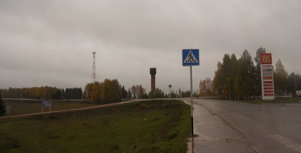 Перед кольцом