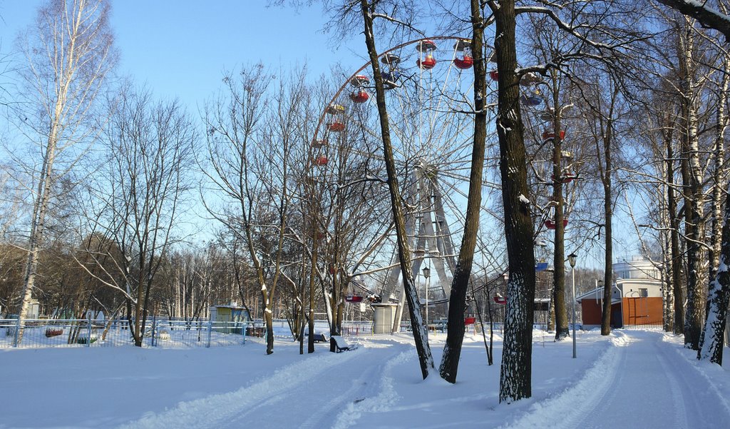 Городской парк зимой