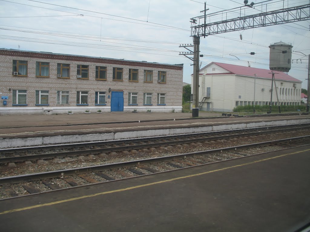 ст.Можга