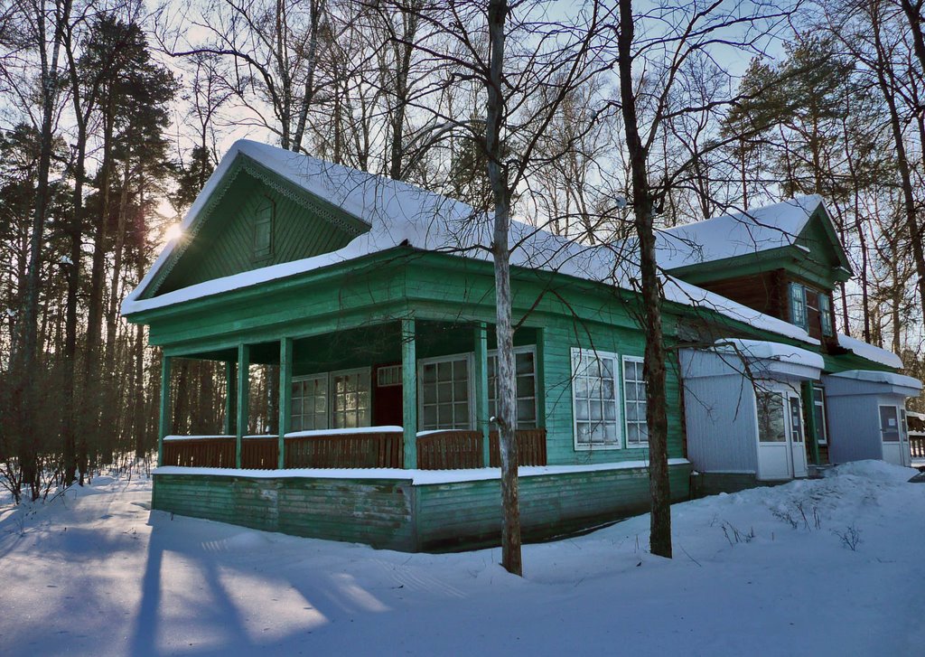 Дача Колчина (?), 1910-гг.