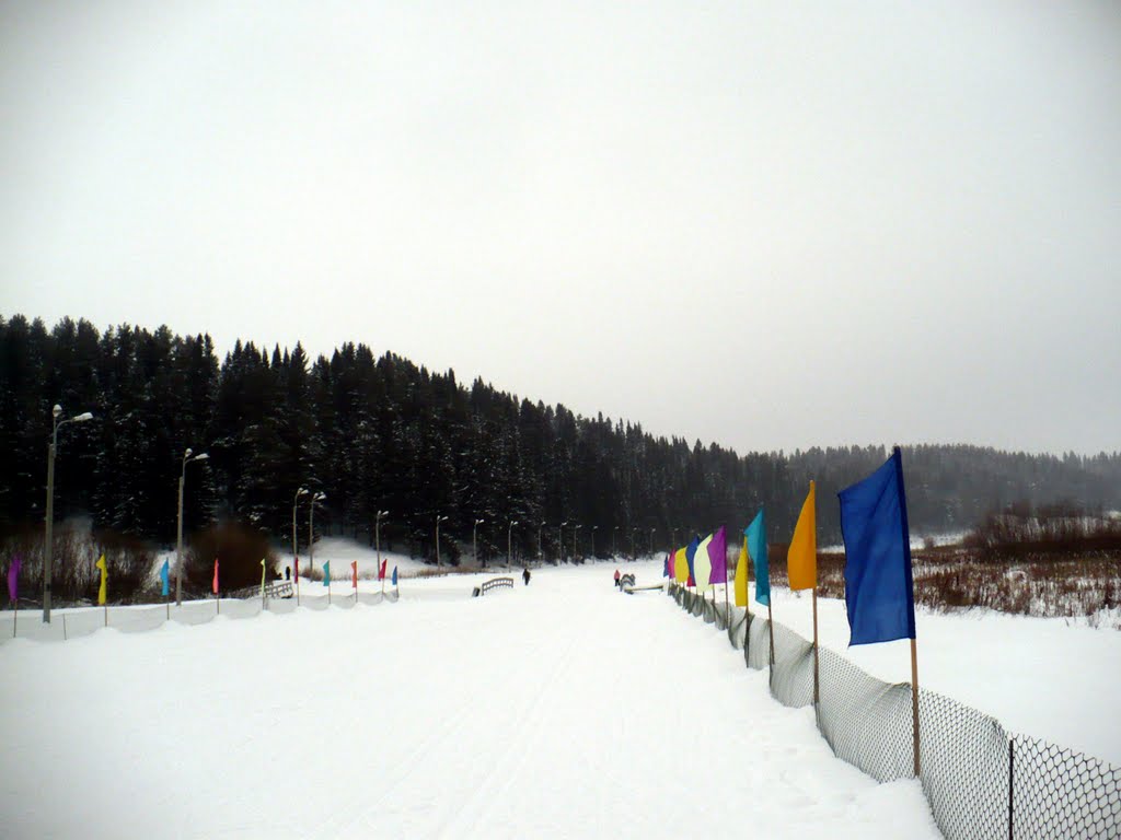 Шарканская лыжная трасса